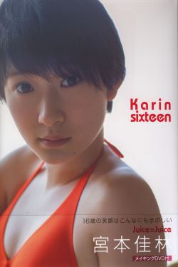 春来枕星河电视剧免费观看